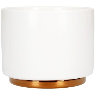 https://www.cremashop.eu/media/cache/grid_product_hdpi/content/products/fellow/monty-cappuccino-cup/11679-a693bd8810c44ca6390e7065defc9c04.jpg