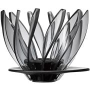 Hario V60 Dripper Suiren Taille 02, Transparent Noir