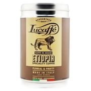 Lucaffé Etiopia Specialty 250 g grains de café